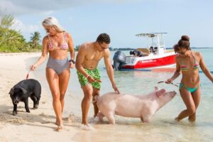 Swim with Pigs Excursion Nassau Bahamas